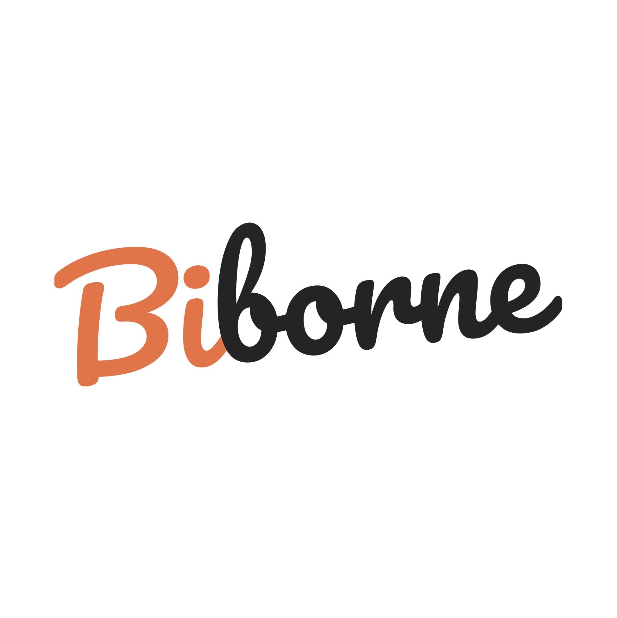 biborne logo